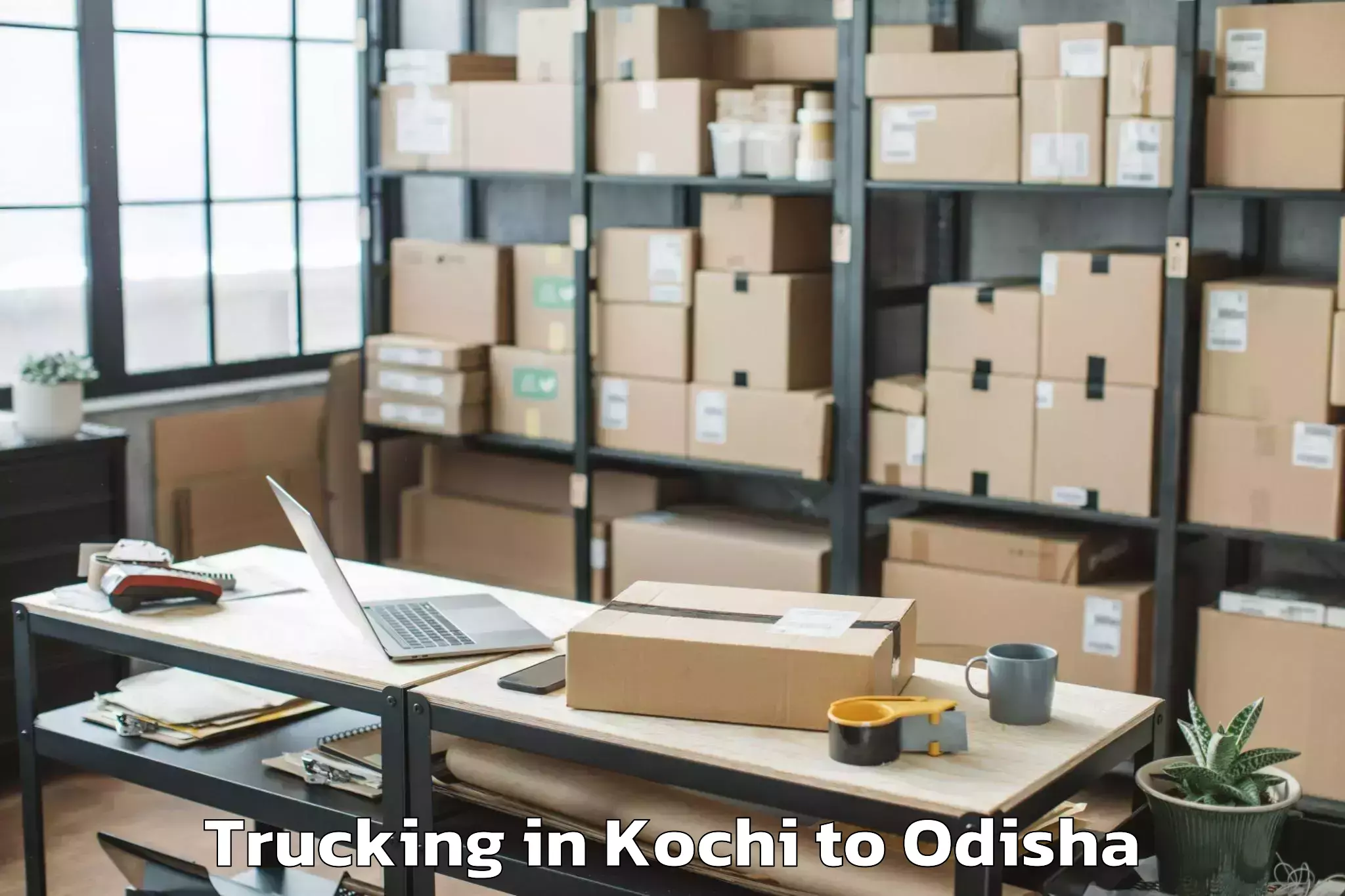 Professional Kochi to Bhanjanagar Trucking